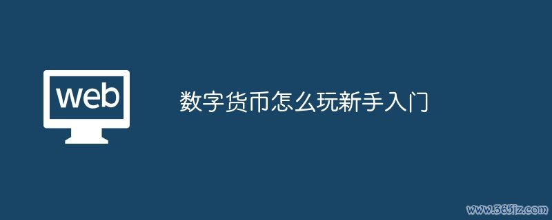 数字货币怎么玩新手入门